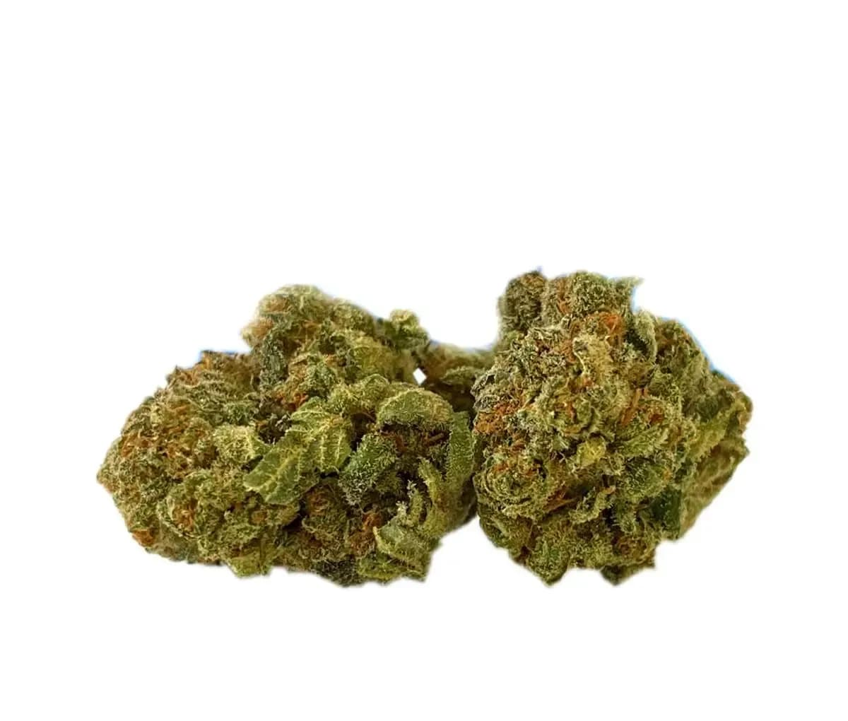 Tilray THC10:CBD10 Warlock No. 2 - Warlock CBD Tilray THC10:CBD10 Warlock No. 2 - Warlock CBD