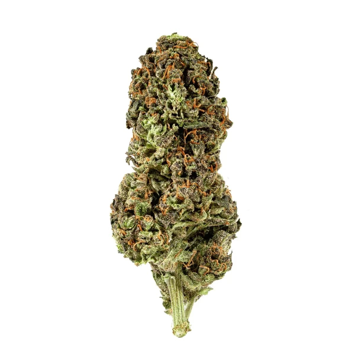 Galaxia Organic Living Soil WRM 15/1 - White Runtz x Mintz Galaxia Organic Living Soil WRM 15/1 - White Runtz x Mintz