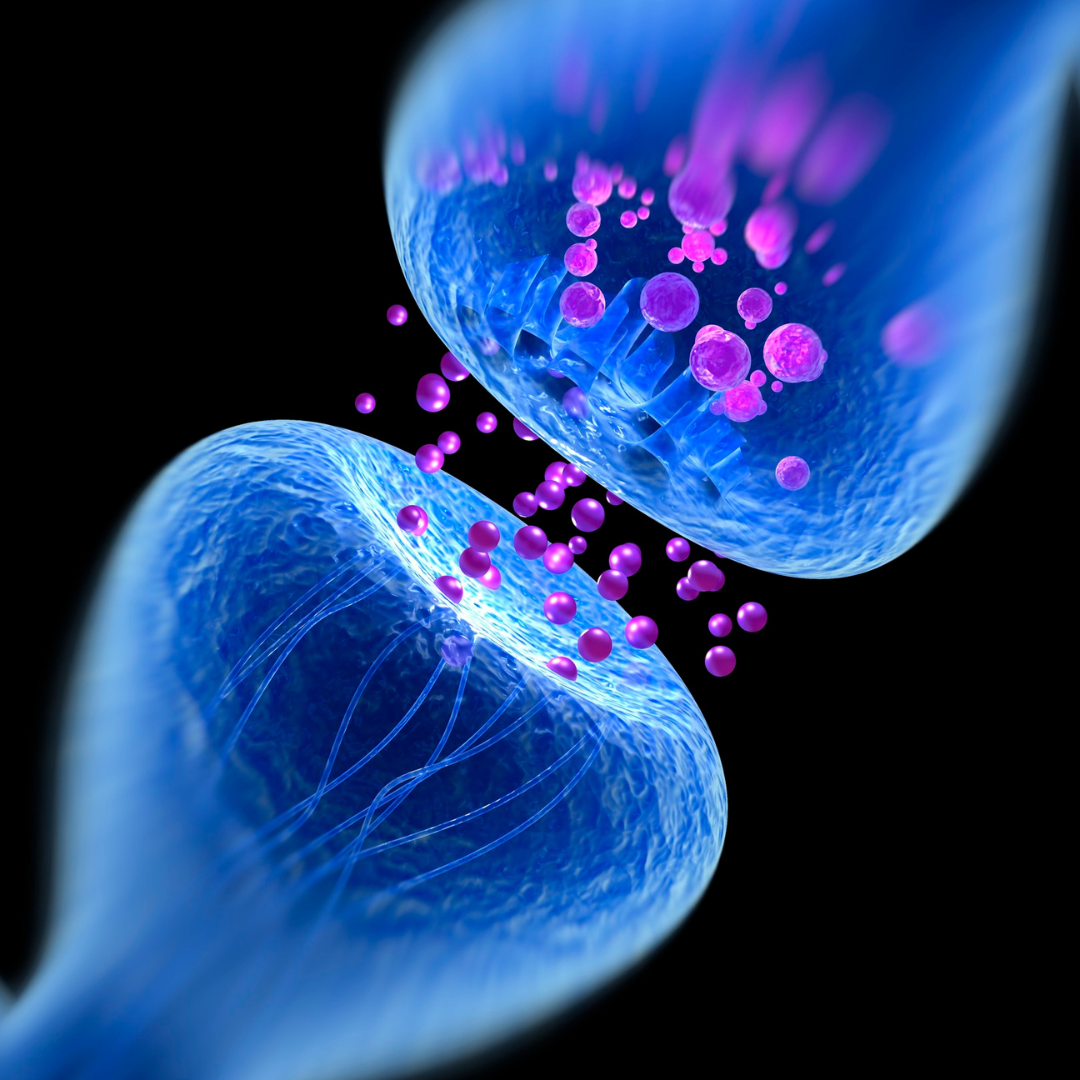 Bild mit Bezug zu 'DAS GLÜCKSMOLEKÜL'