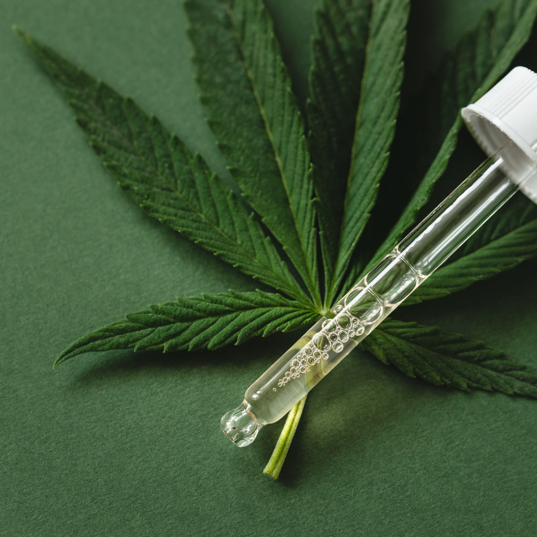 Bild eines Cannabisblattes