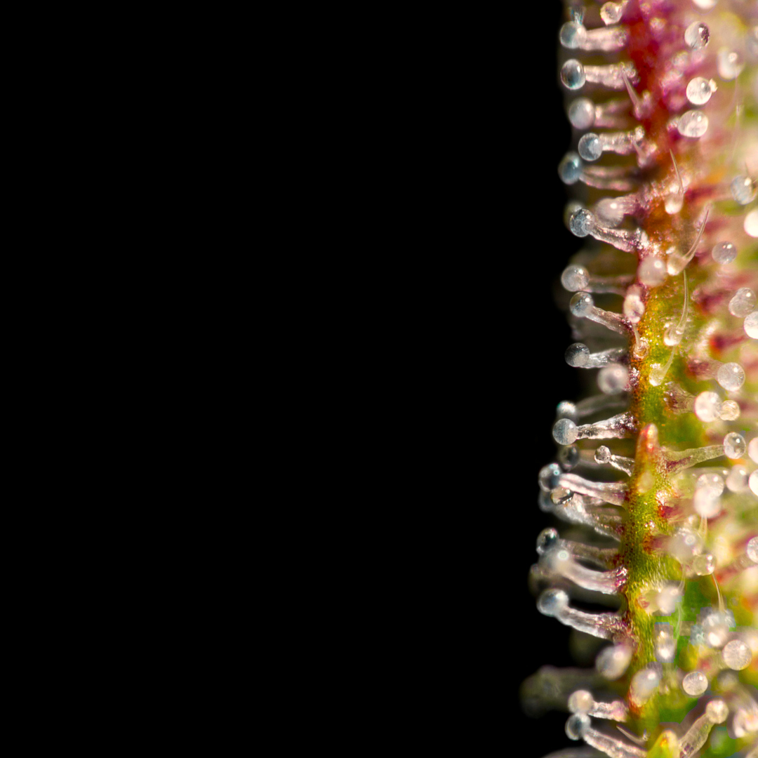 Bild mit Bezug zu '6'