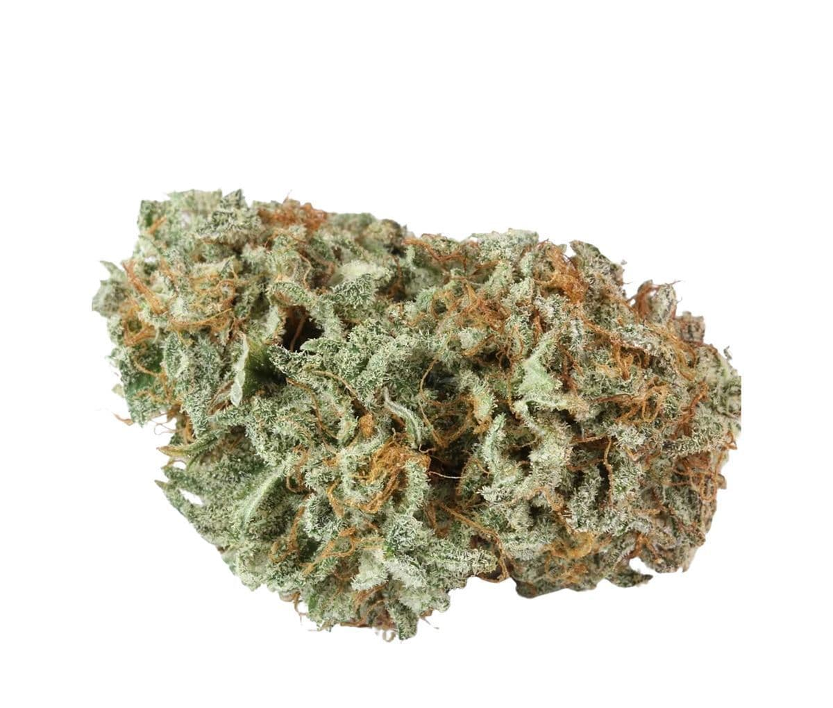 LIT 29/1 MKU - Master Kush LIT 29/1 MKU - Master Kush