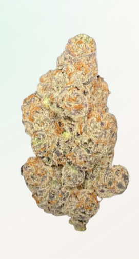 LIGHV Trials 26/1 BBL - Blueberry Banana Lobster