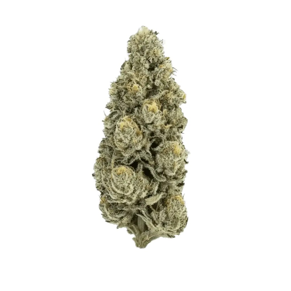 CRQSH CPJs 33/1 - Cap Junky CRQSH CPJs 33/1 - Cap Junky