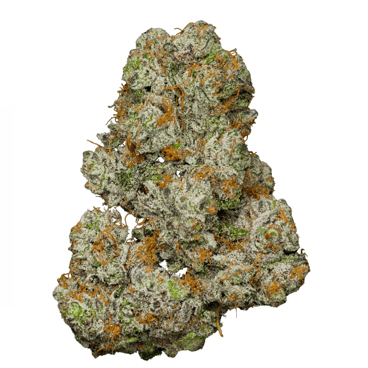 Luana 20/1 GSC - Girl Scout Cookies