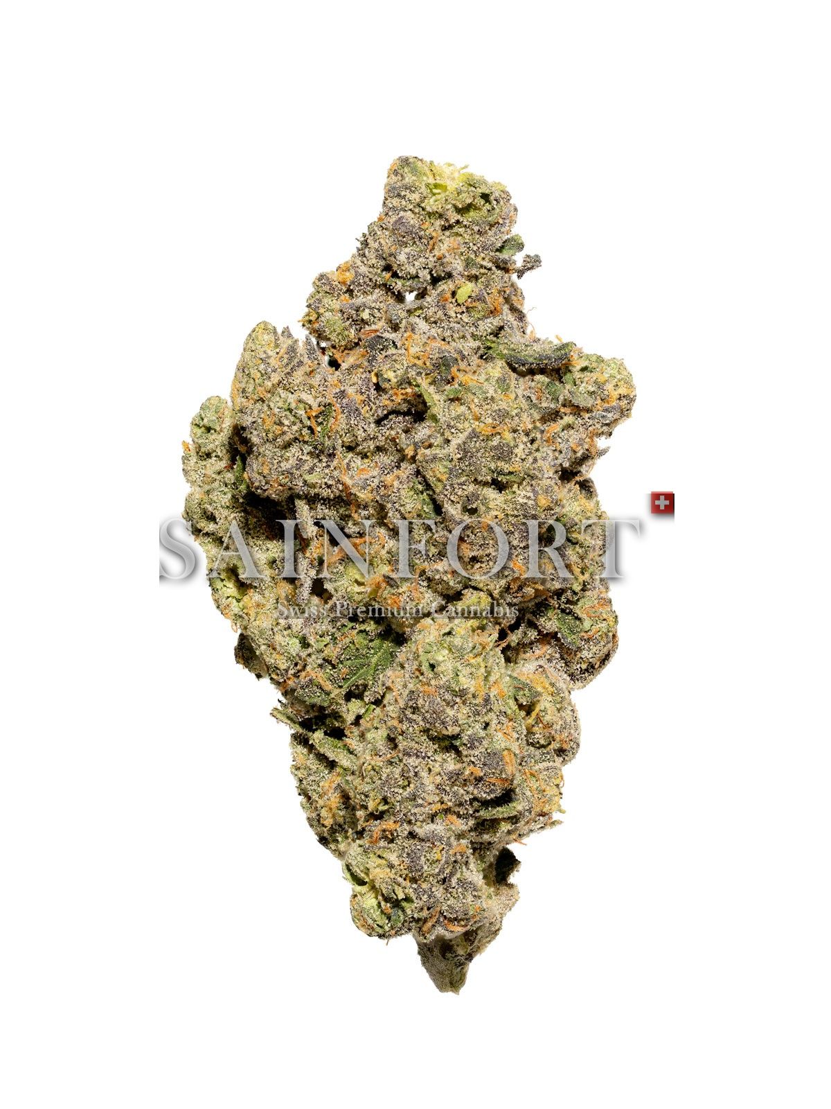 Sainfort ANB 24/1 CH - Apples & Bananas Sainfort ANB 24/1 CH - Apples & Bananas
