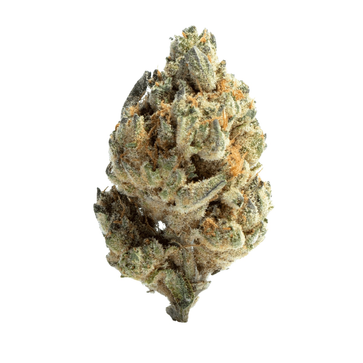 NICE 29/1 LP - Lotus Punch