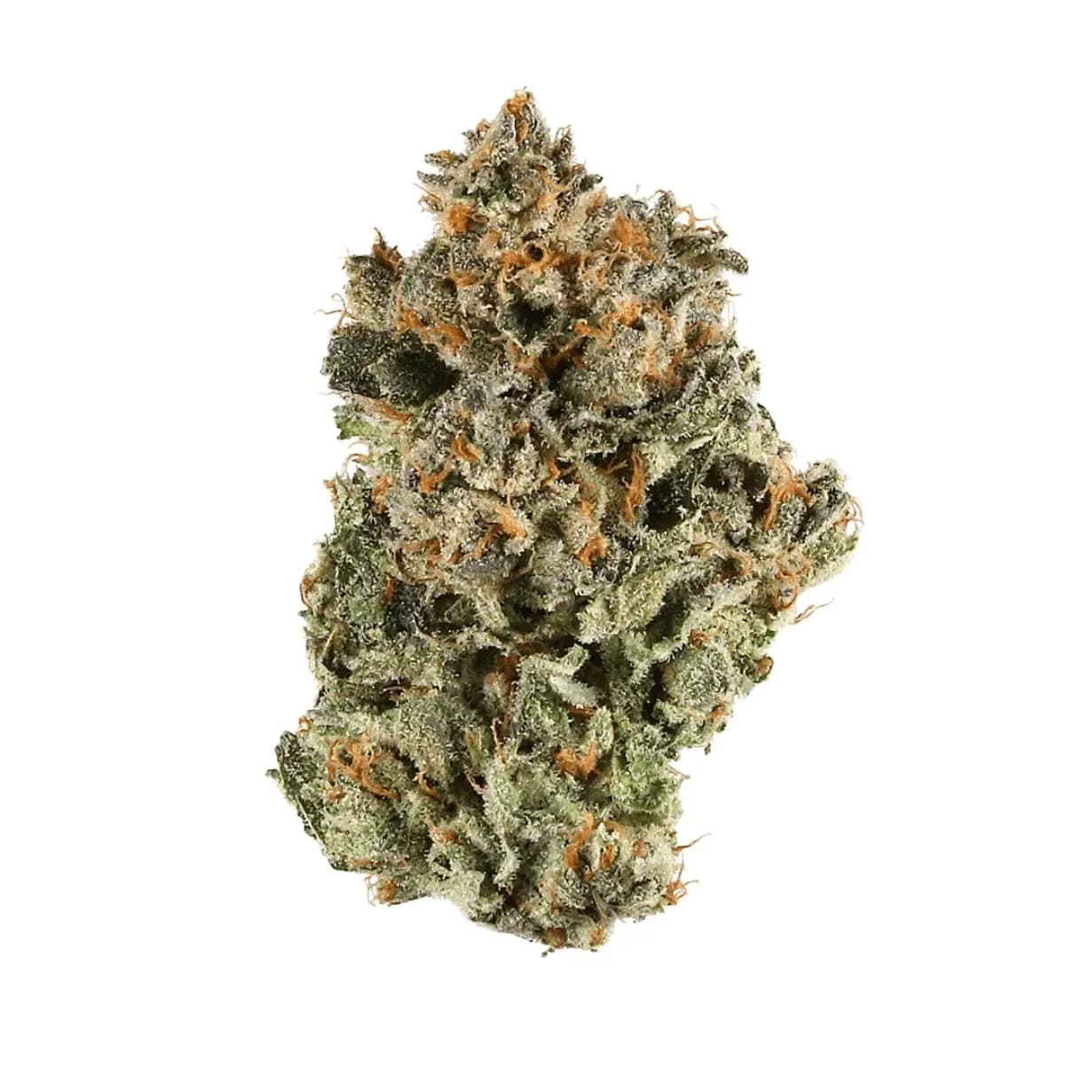 LIT 27/1 SH Sunset Sherbet