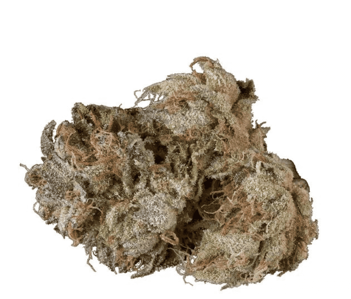 Materia 8BK 30/1 - 8 Ball Kush