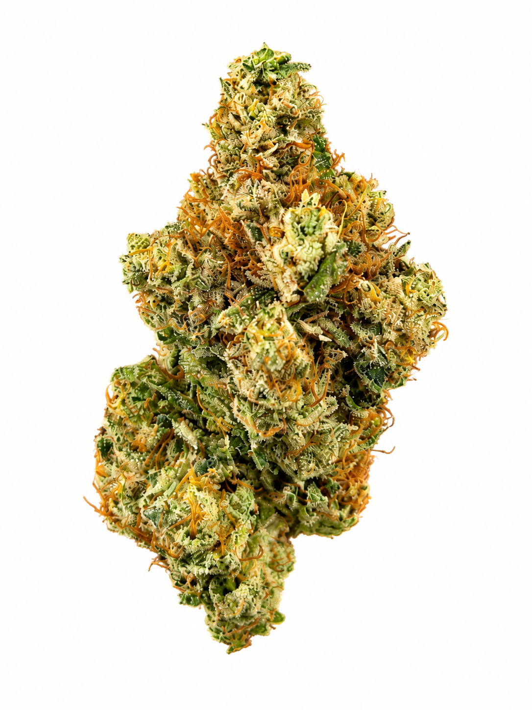 Bathera 28/1 GZ - GelonadeZ