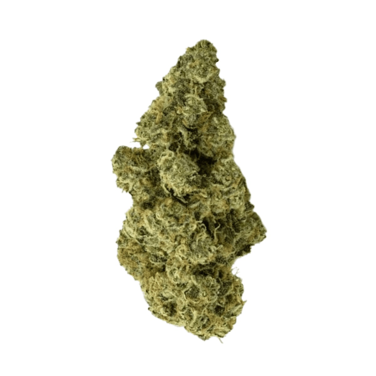 Daily Special 25/1 FUN - Funky Berry Daily Special 25/1 FUN - Funky Berry