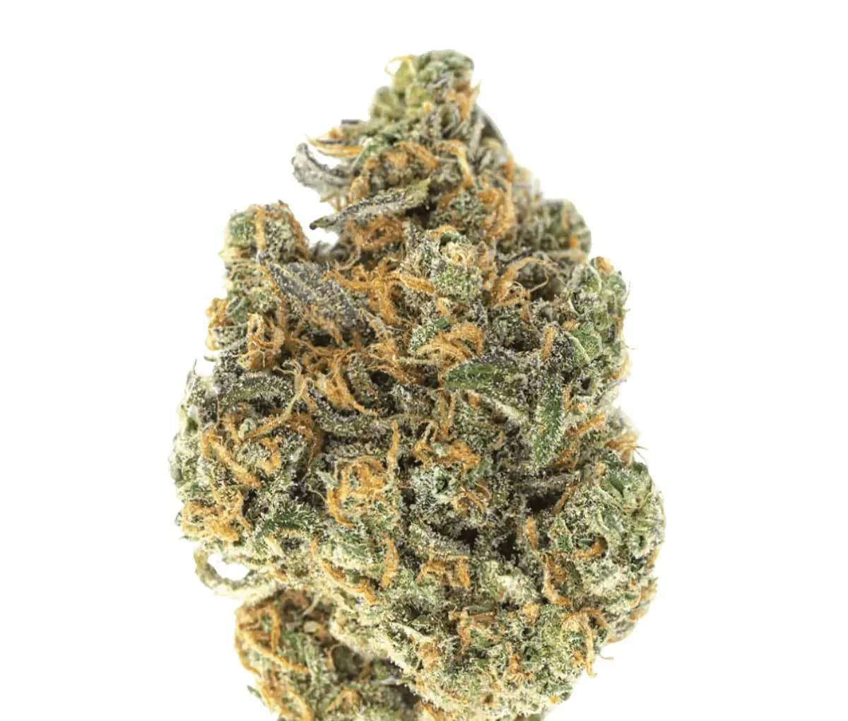 NICE 32/1 MS - Munson NICE 32/1 MS - Munson