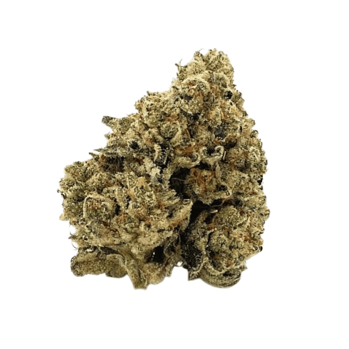 Bathera 33/1 CA CJ - Cap Junky