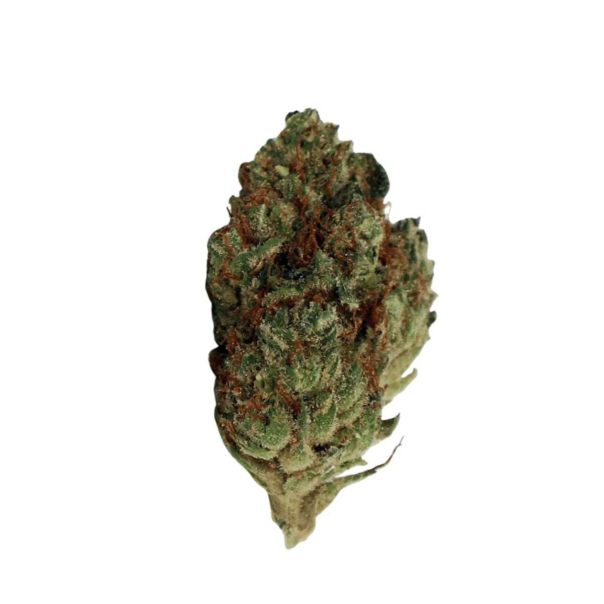 Buuo 30/1 MW - Kalifornia