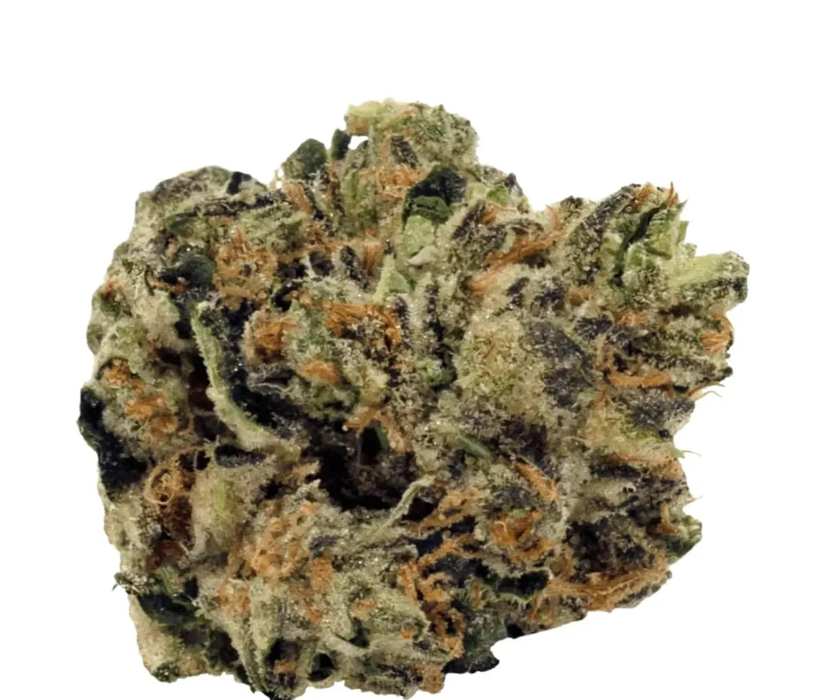 BC Green 30/1 - Tiger Cake