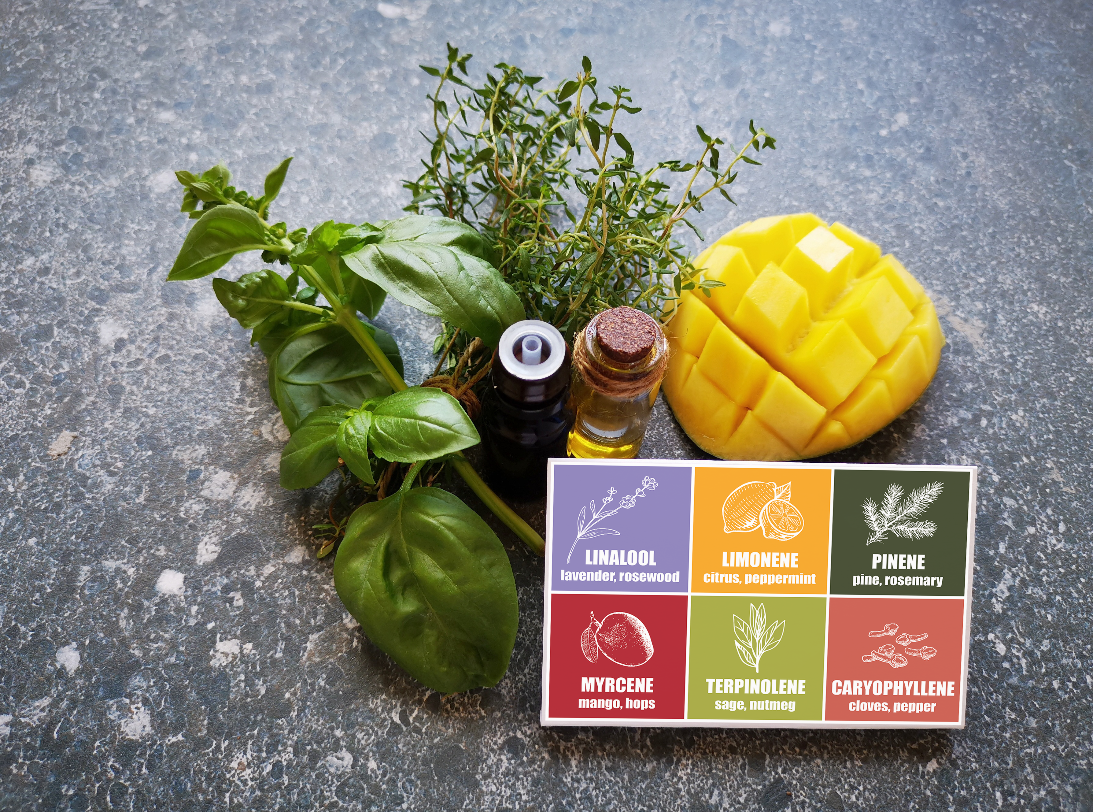 Bild mit Bezug zu 'Terpene_Cannabis_Versandapotheke_Herbery'