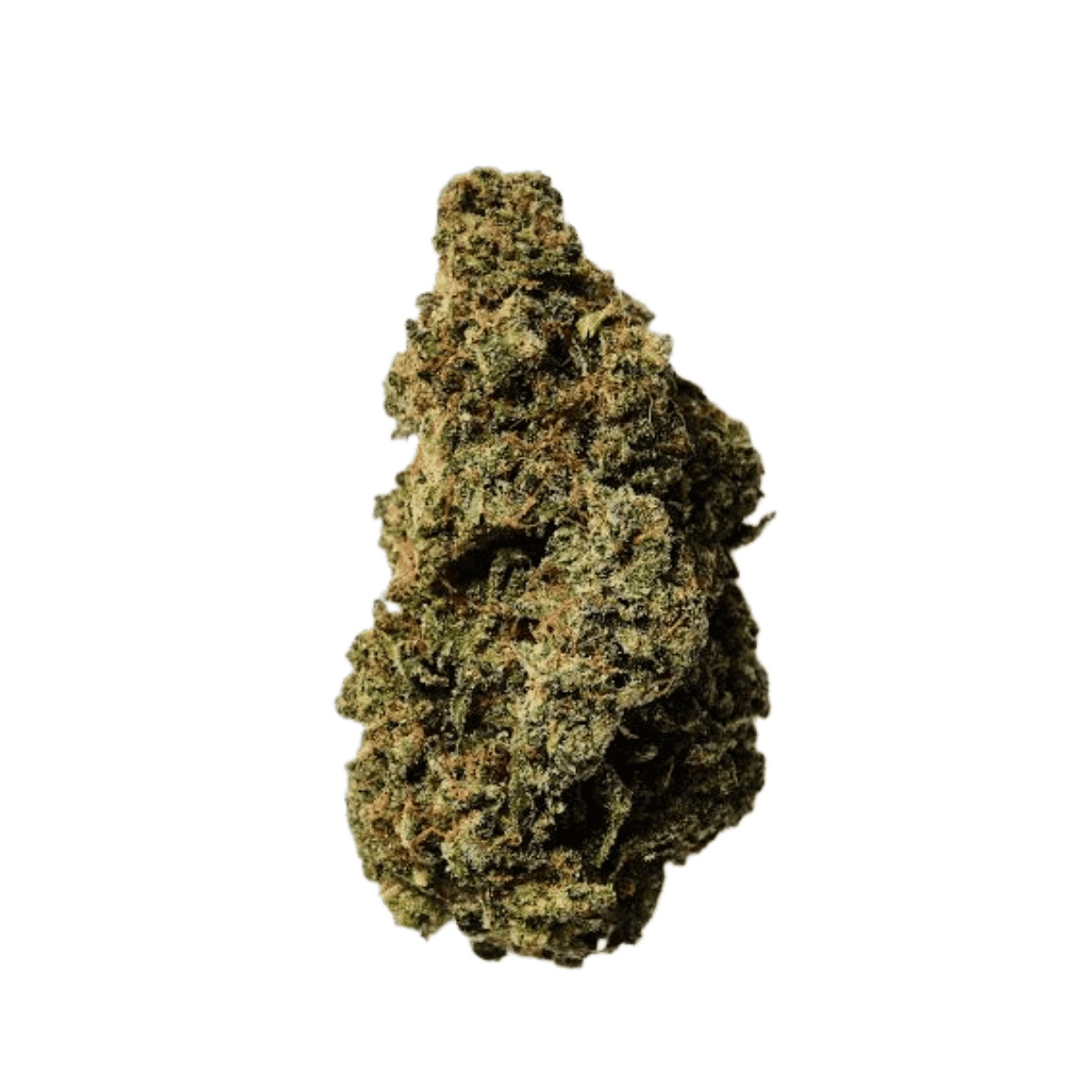 22/1 Amici FTY - Fruity Pebbles
