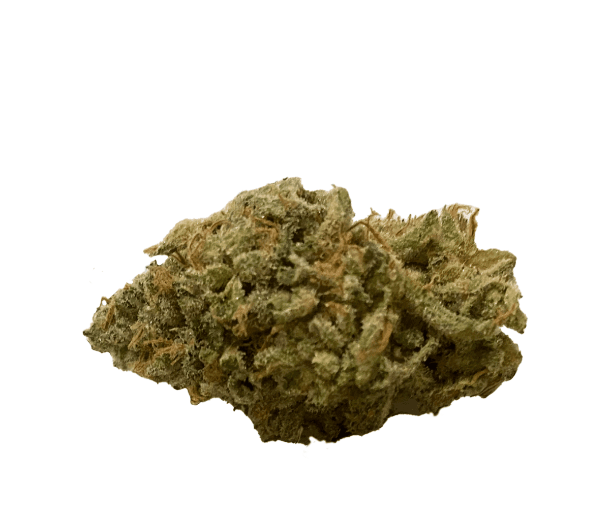 420 Evolution 27/1 CA FLM - Frozen Lemon Mint 420 Evolution 27/1 CA FLM - Frozen Lemon Mint