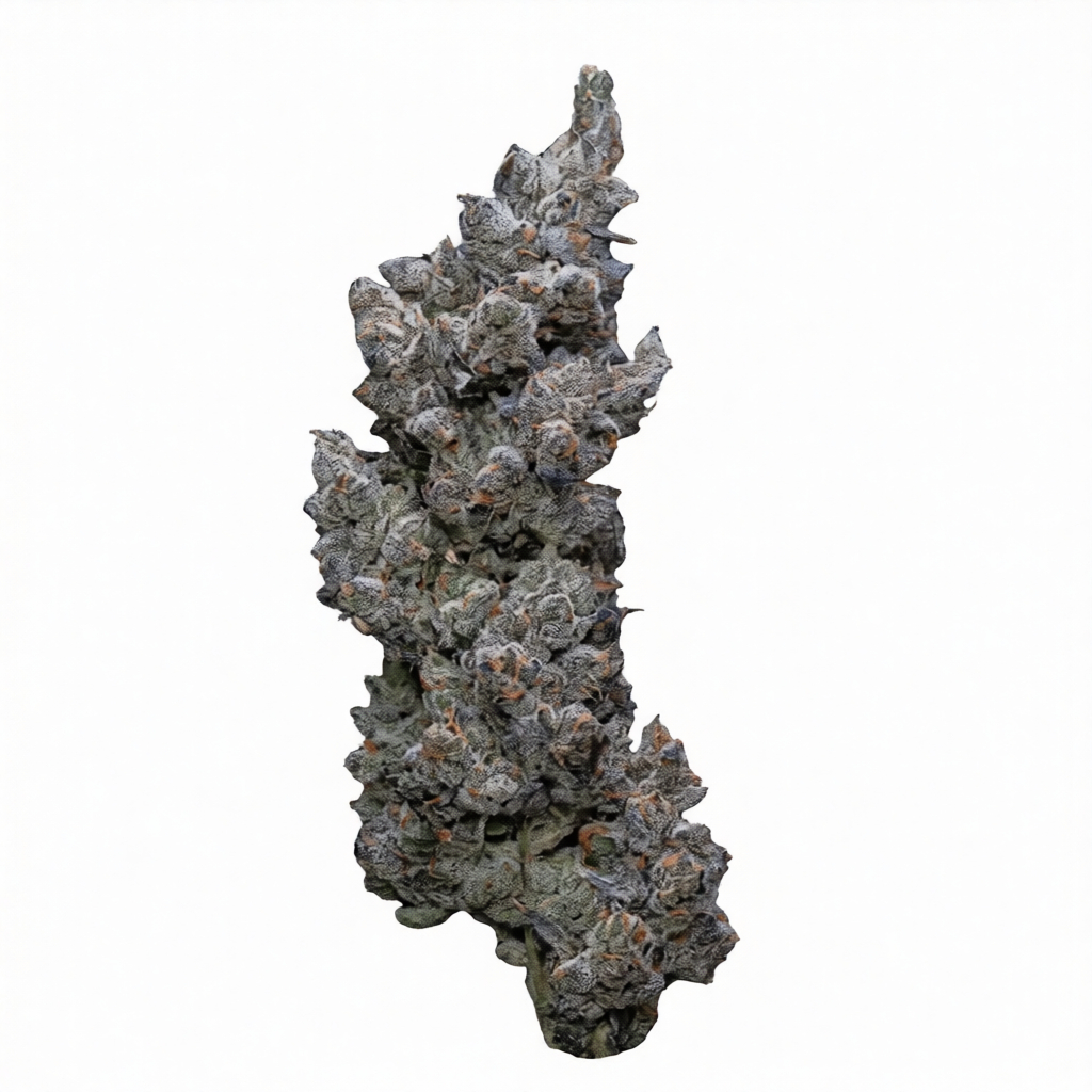 30/1 IUVO SQ - Apples & Bananas