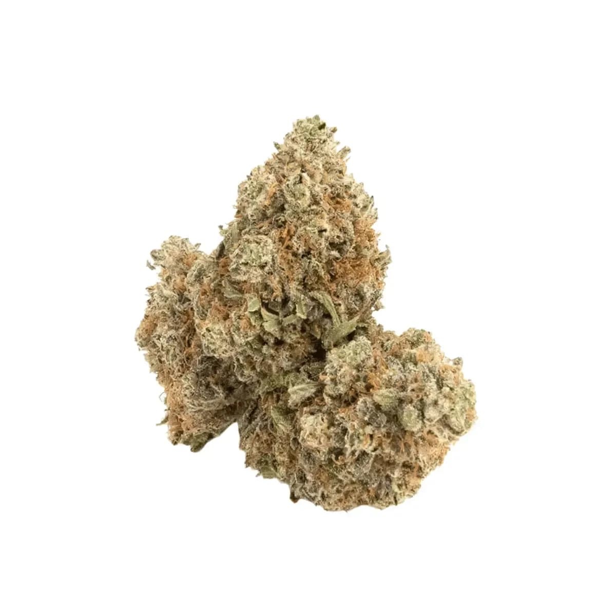 Bathera 27/1 SSH - Super Silver Haze Bathera 27/1 SSH - Super Silver Haze