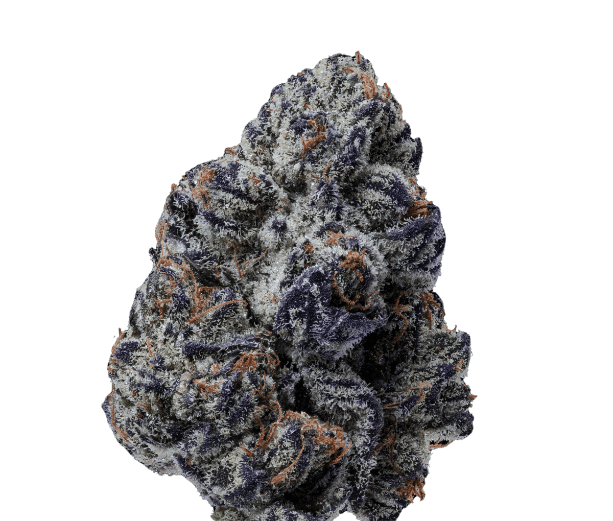 24/1 IUVO Killer Cupcake 24/1 IUVO Killer Cupcake