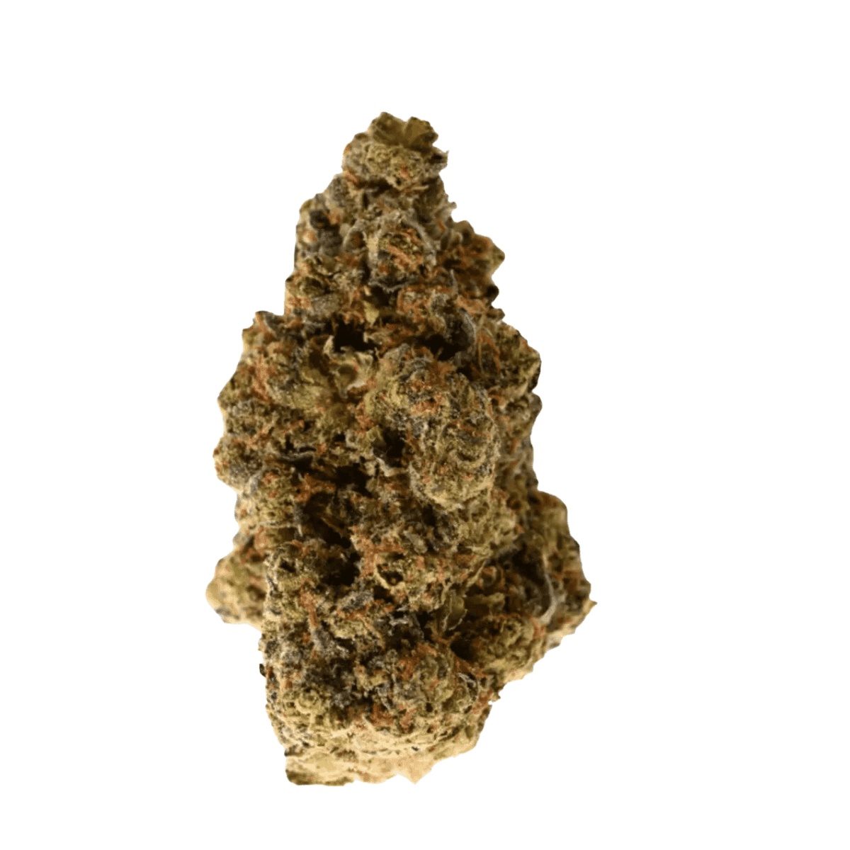 NICE 28/1 GSC Girl Scout Cookies