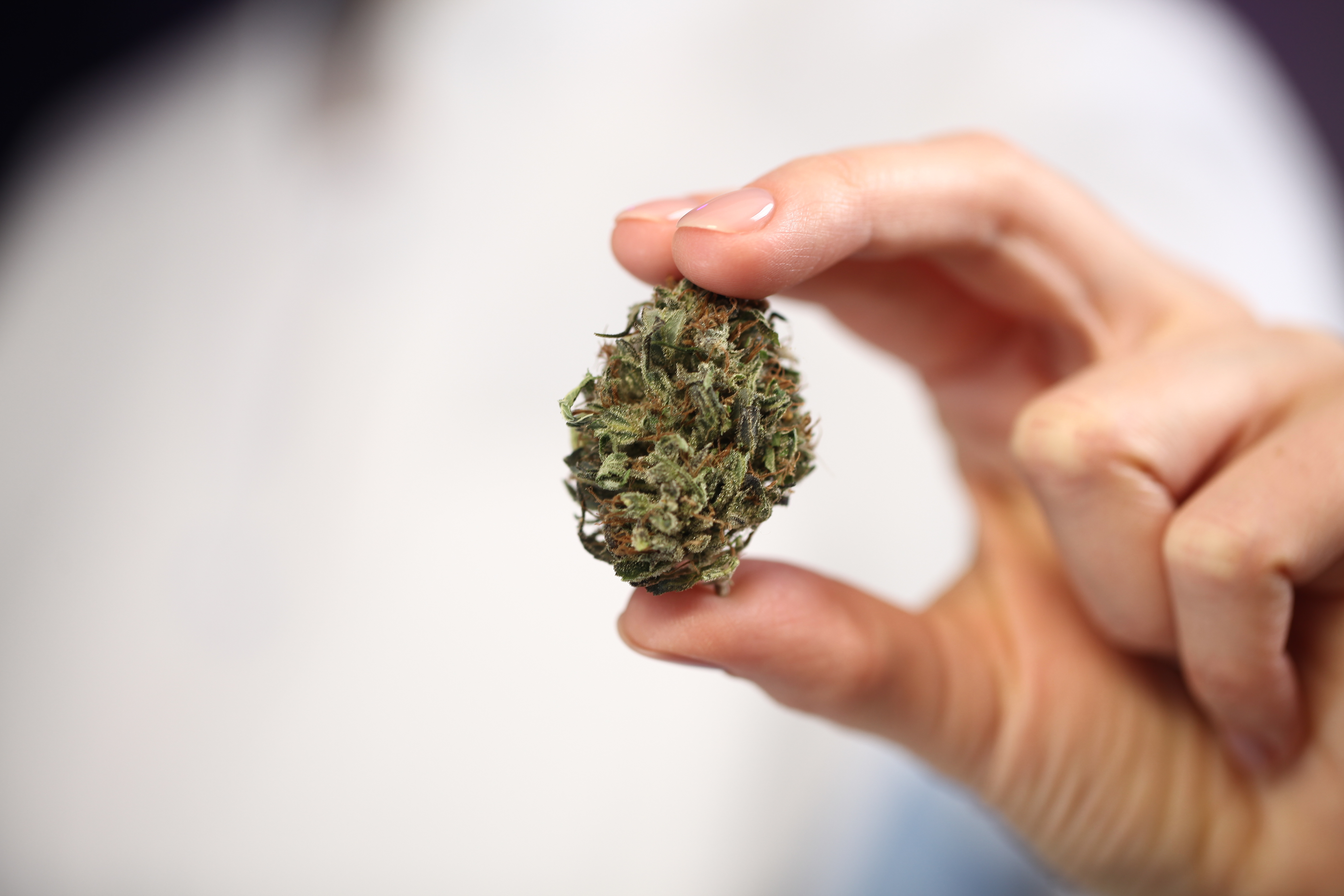 Bild mit Bezug zu 'Arzt-Bluete-AdobeStock_272324018'