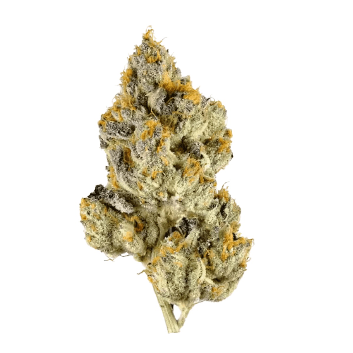 Materia FFC 25/1 - Frosted Fruit Cake