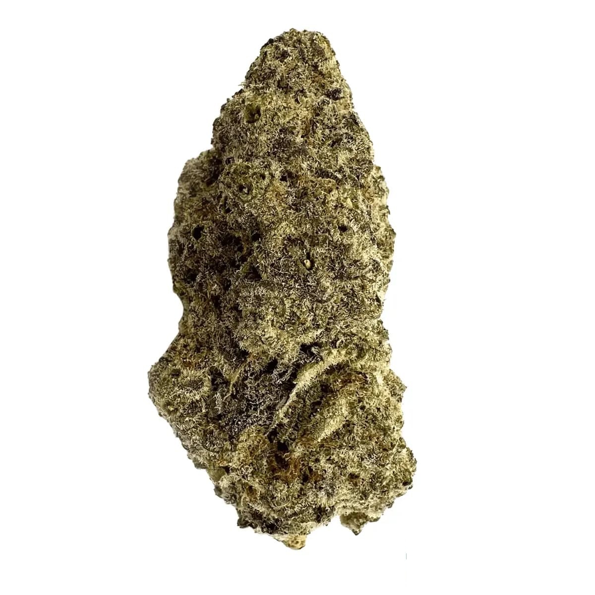 Medical Saints 21/1 MC1 - Mac 1