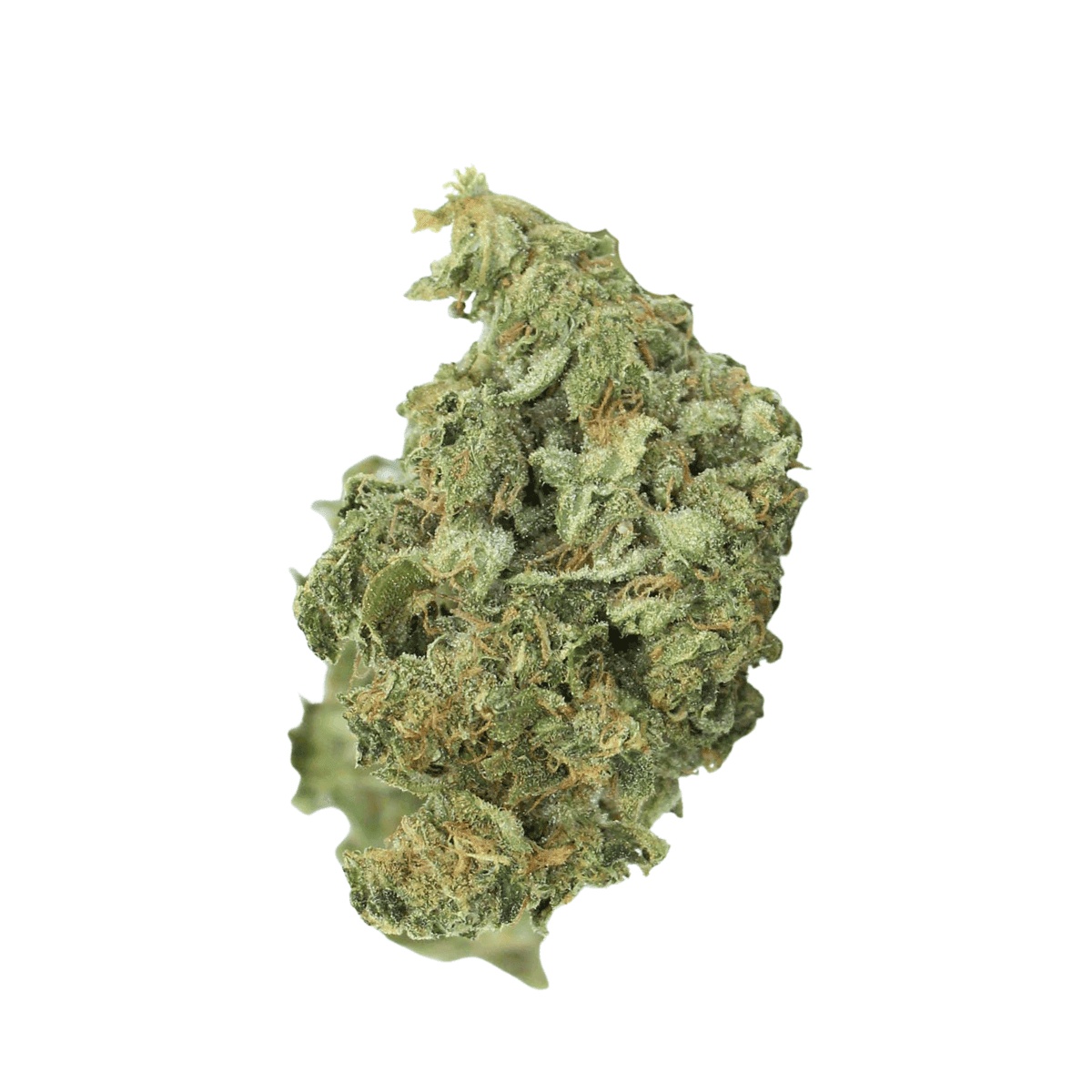 Fast Leaf 33/1 SMH - Sour Mintz Haze Fast Leaf 33/1 SMH - Sour Mintz Haze