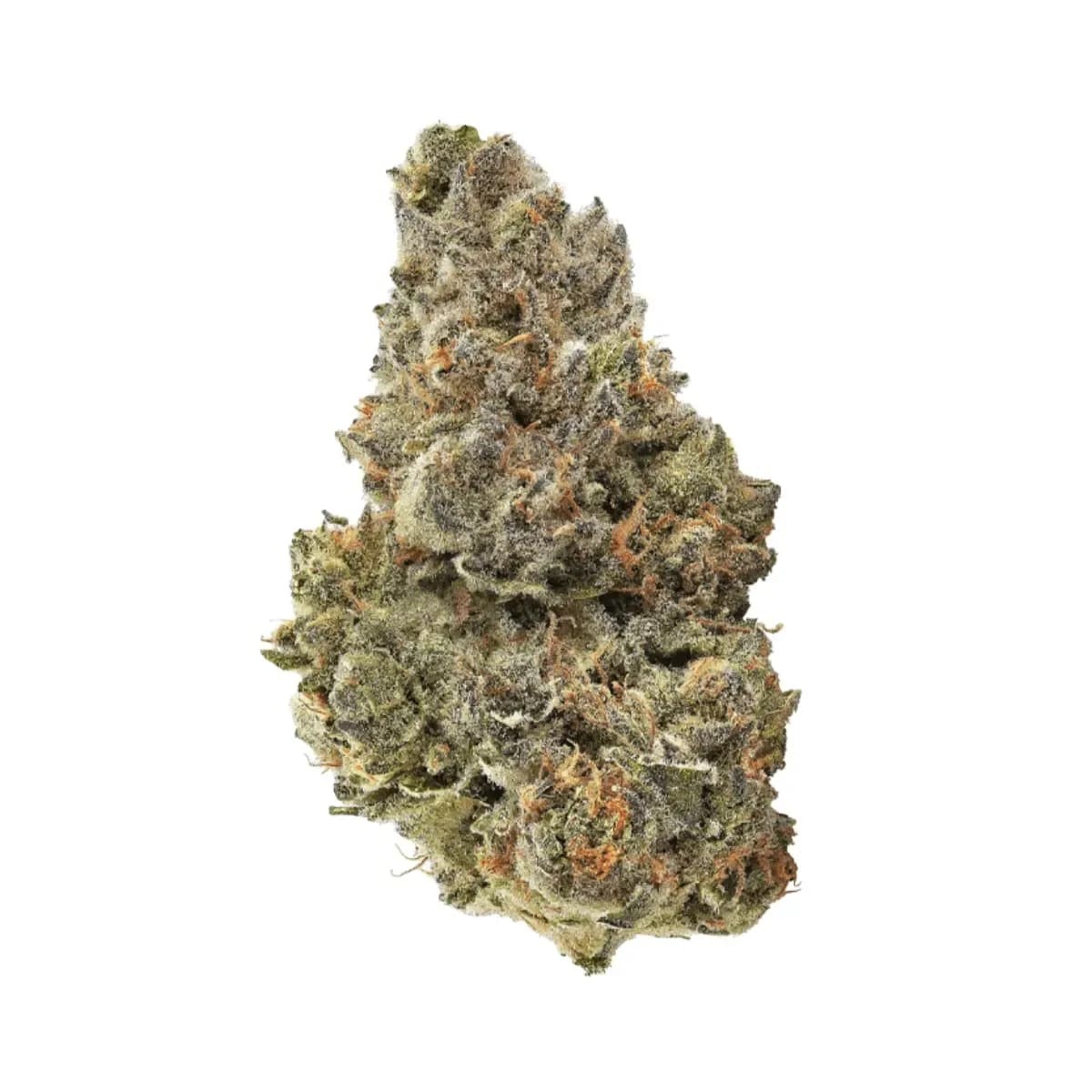 Remexian 24/1 CIV SBU Strawberry Bubbles