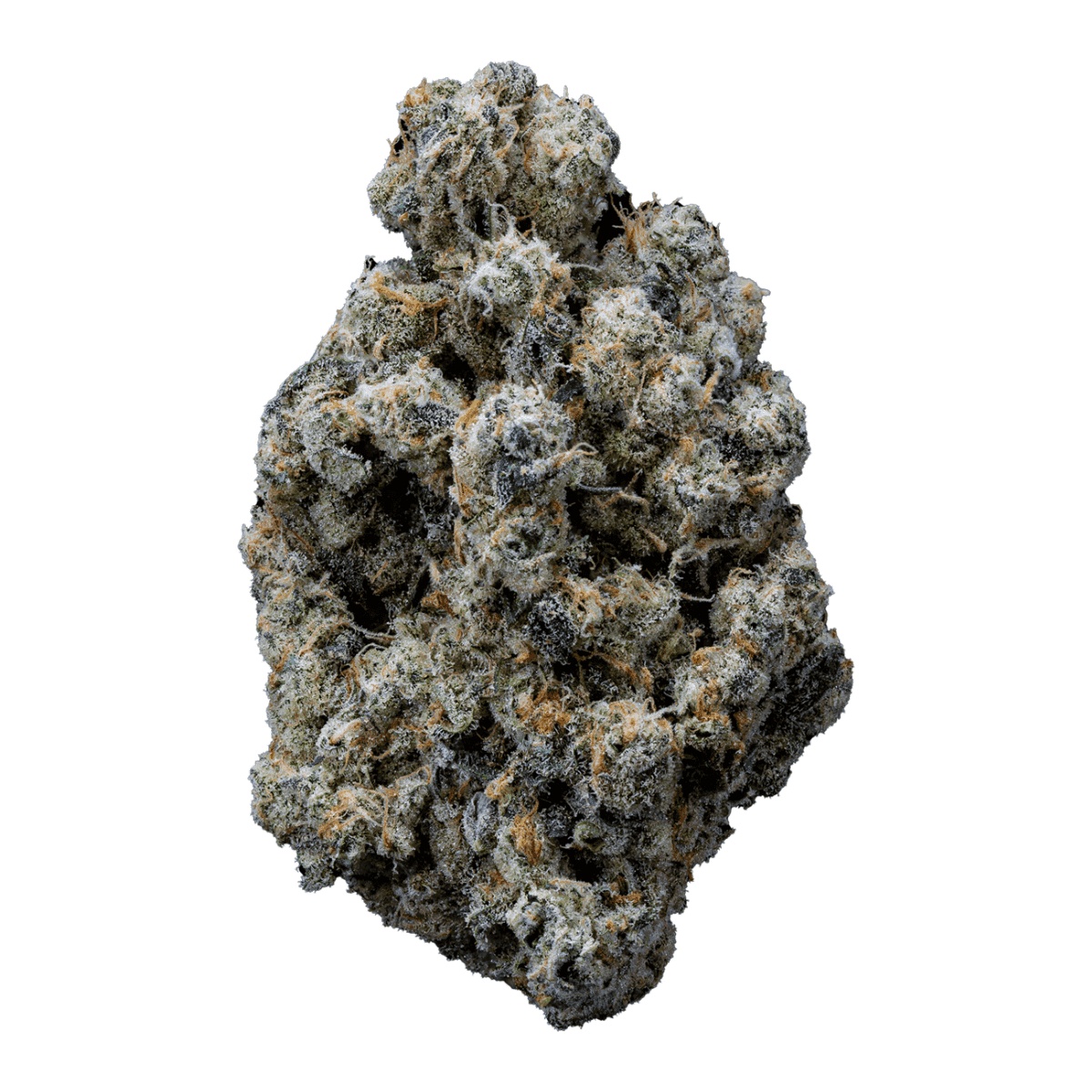 Organic Sweetgrass CB 29/1 - Crunch Berries
