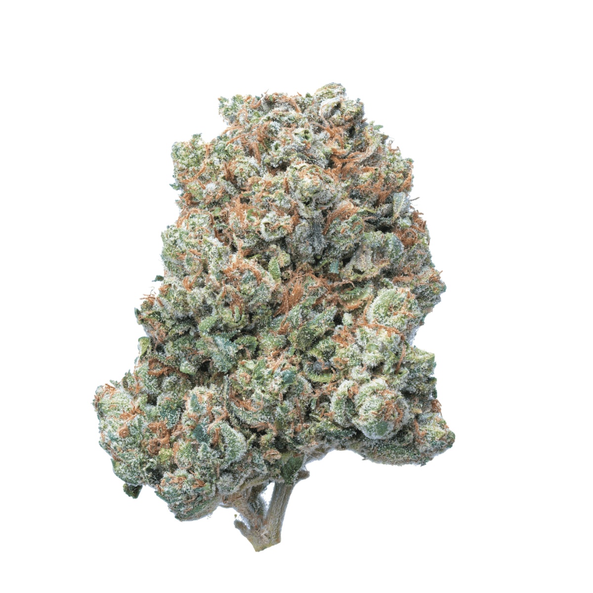 Peace Naturals 31/1 OK - OG Kush Peace Naturals 31/1 OK - OG Kush