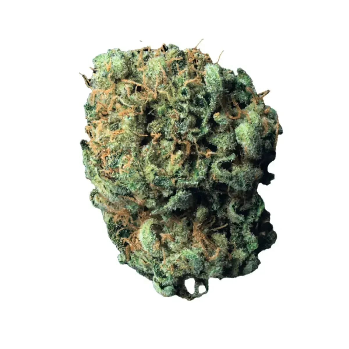 mediproCan Calyx Pure 28/1 - OG Kush mediproCan Calyx Pure 28/1 - OG Kush